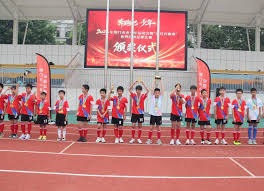 中超赛事回顾：泰山队连伤三主力，克雷桑泽卡意外退赛